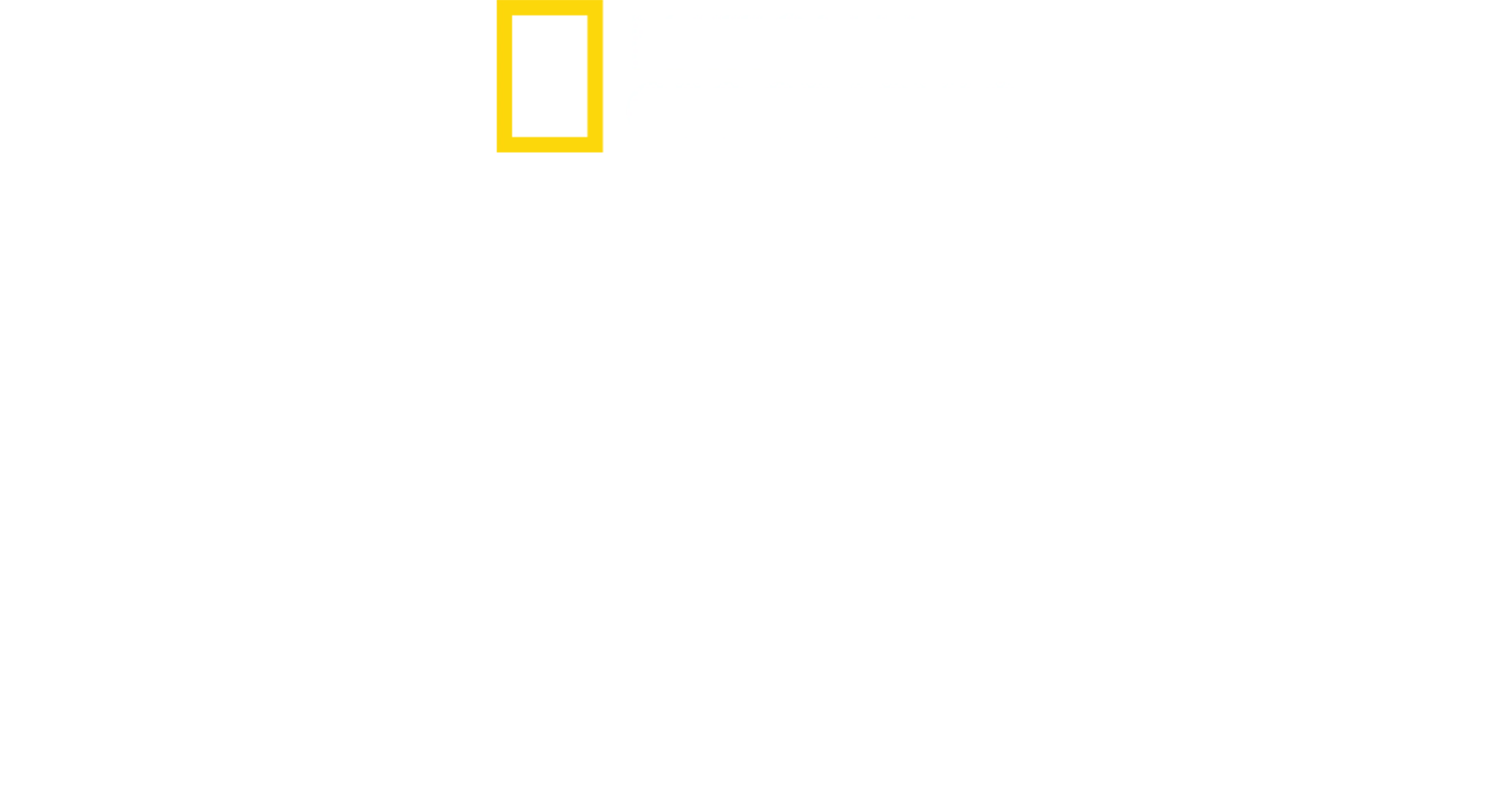 盖尔·加朵之女力故事