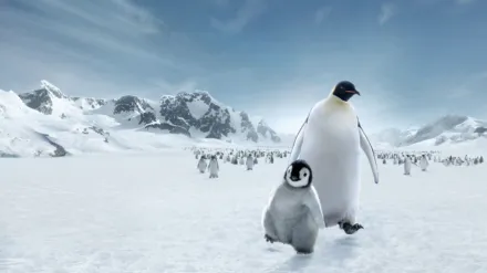March of the Penguins 2: The Next Step