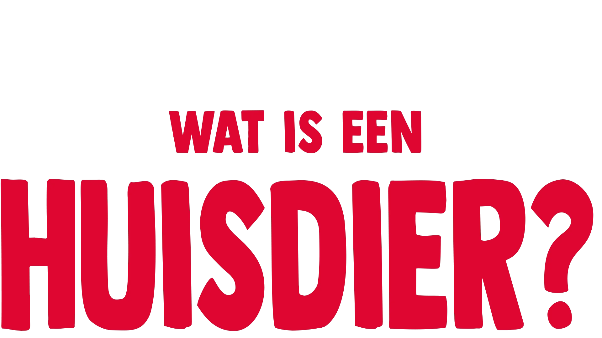 Vorkie stelt een vraag: Wat is een huisdier?