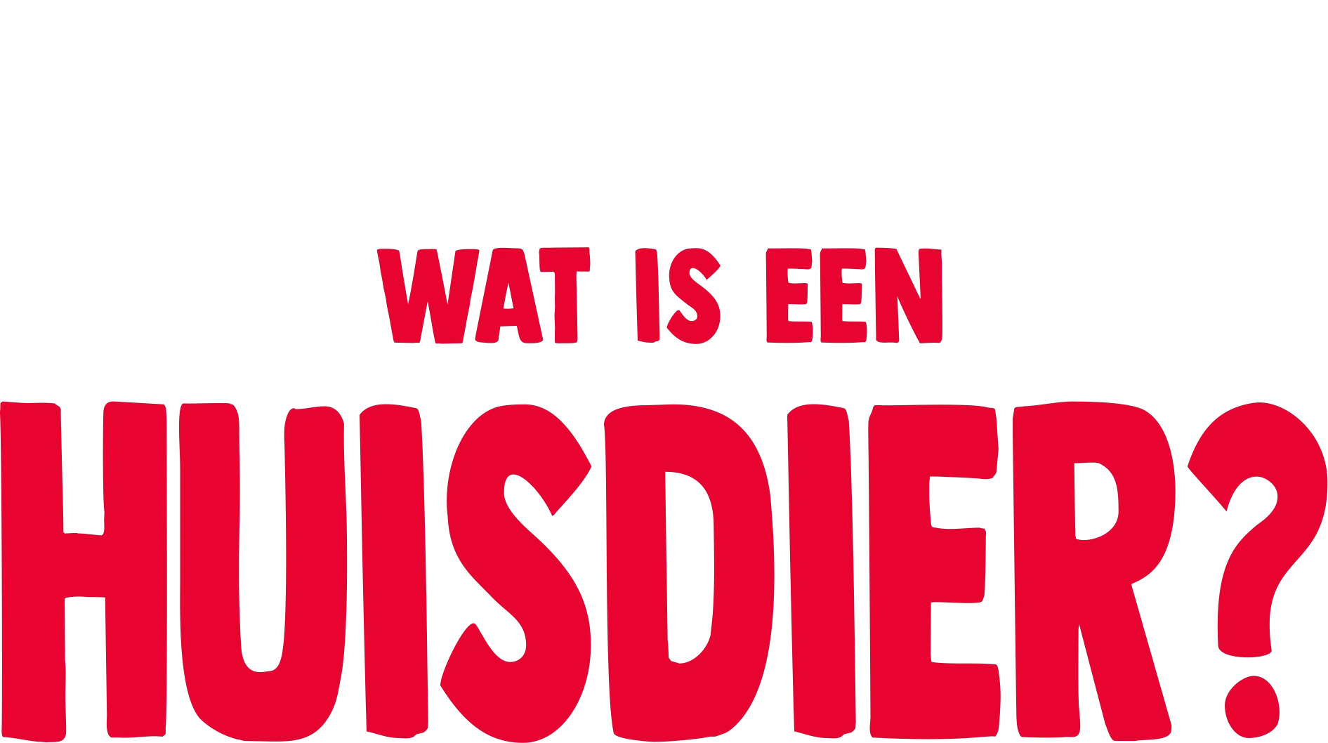 Vorkie stelt een vraag: Wat is een huisdier?