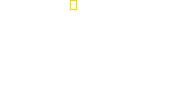 Hitler'in Son Direnişi