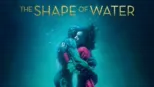 thumbnail - The Shape of Water