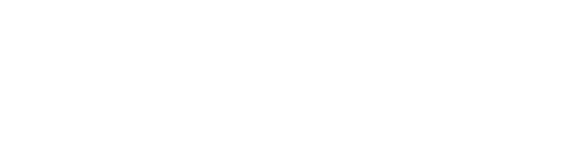 Vfl Wolfsburg vs. Fc Bayern Munchen