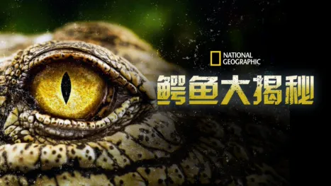 thumbnail - 鳄鱼大揭秘