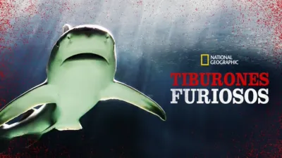 Tiburones furiosos