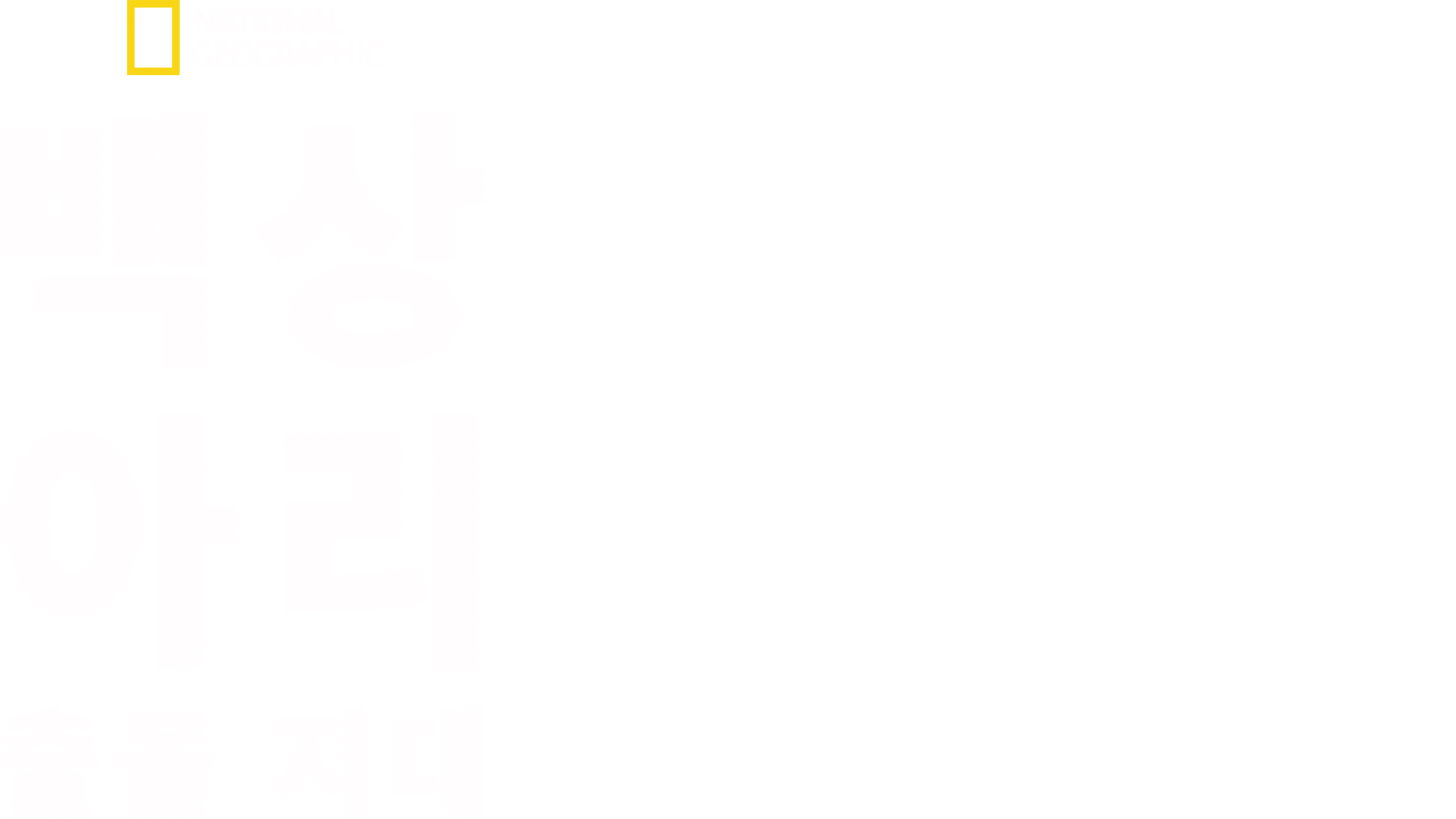 백상아리 출몰 지대