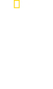 백상아리 출몰 지대
