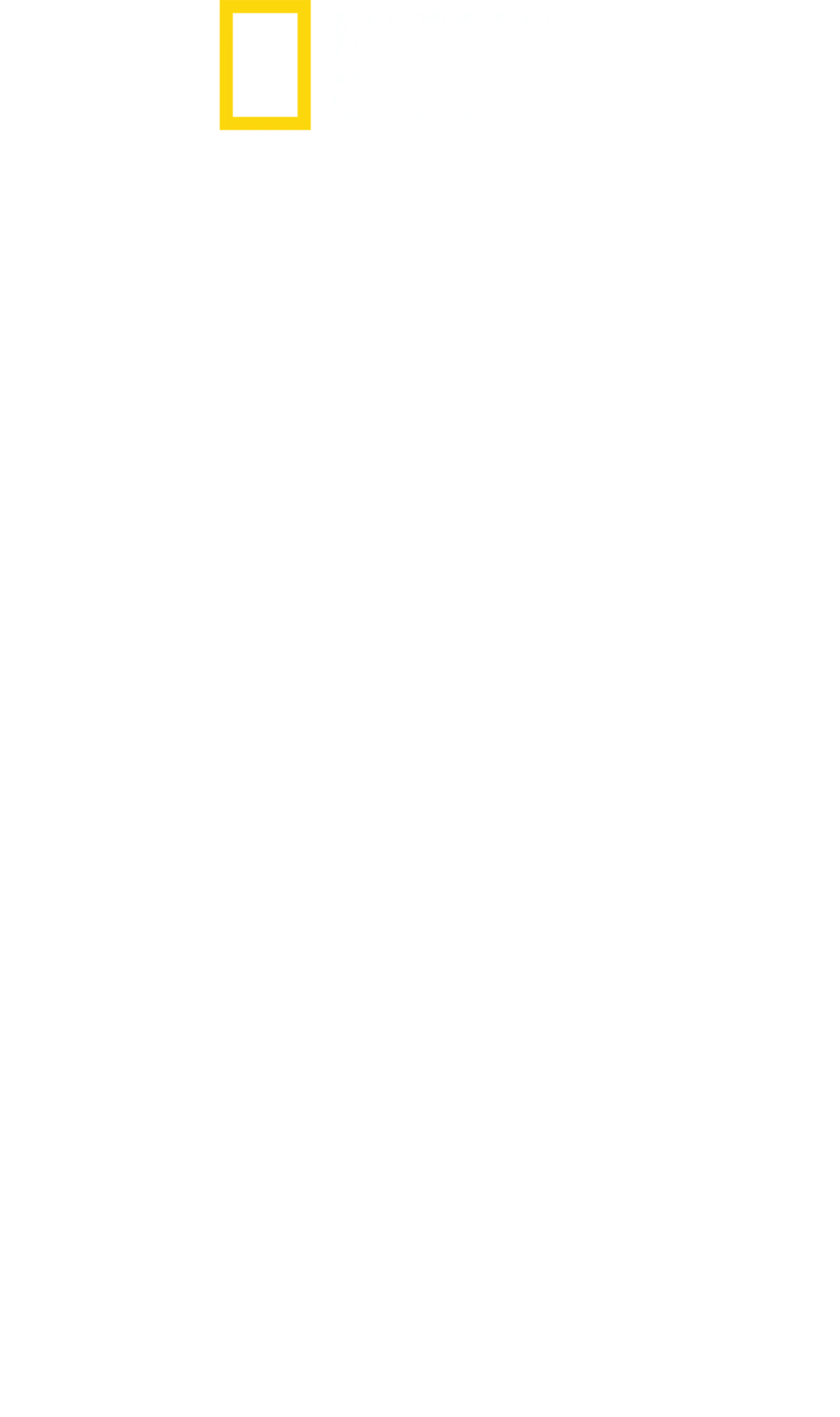 백상아리 출몰 지대