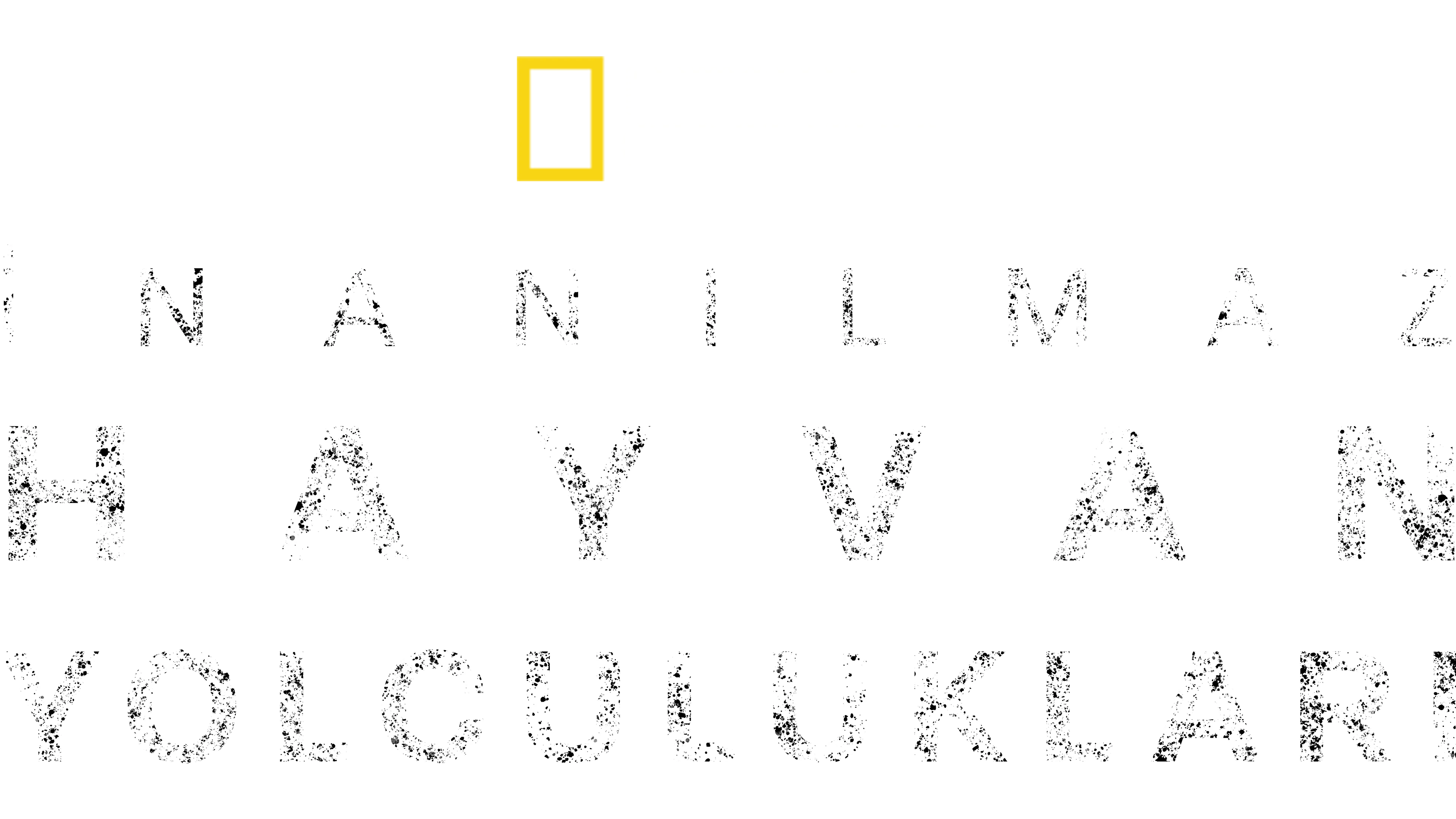 İnanılmaz Hayvan Yolculukları