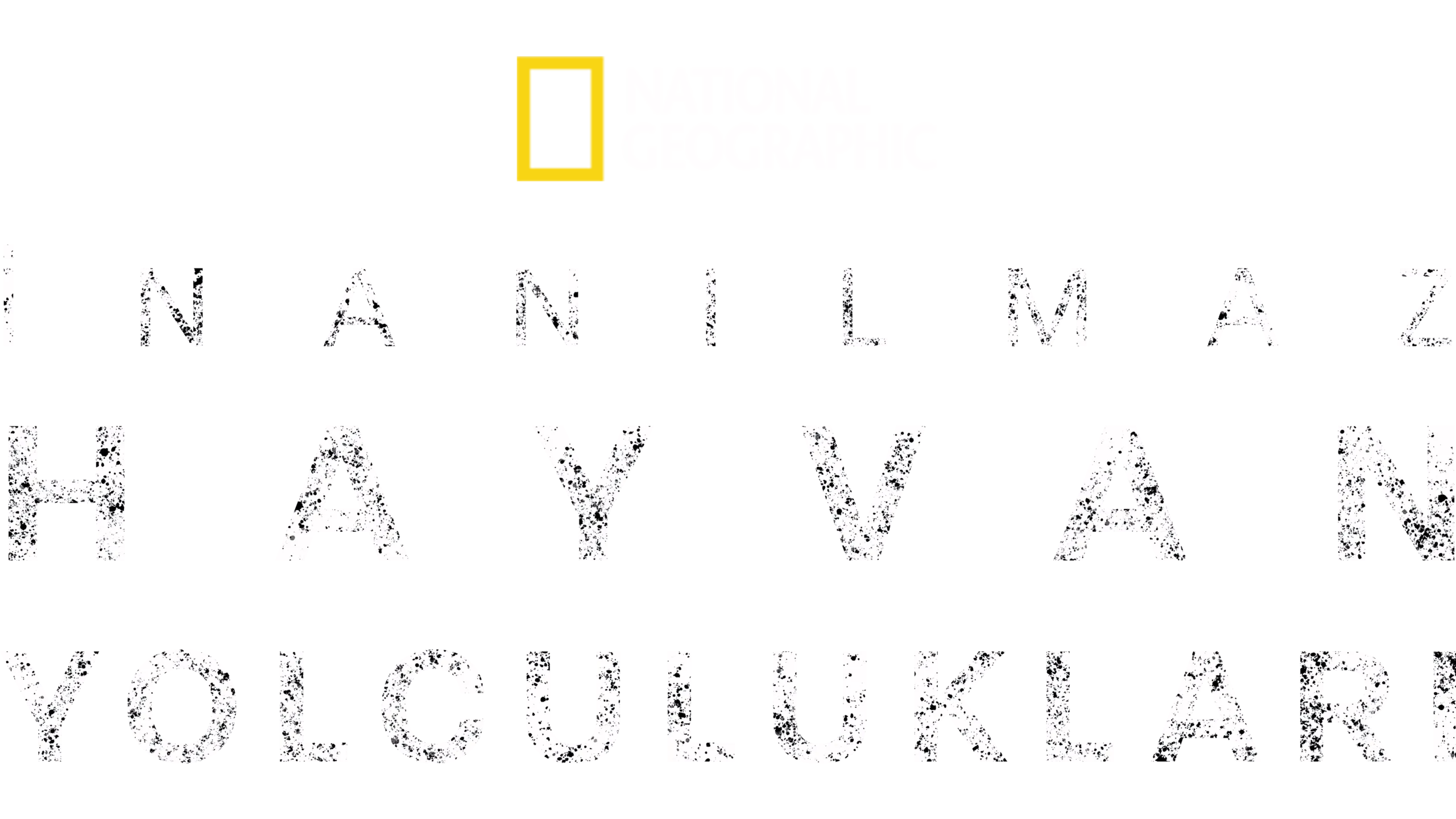 İnanılmaz Hayvan Yolculukları