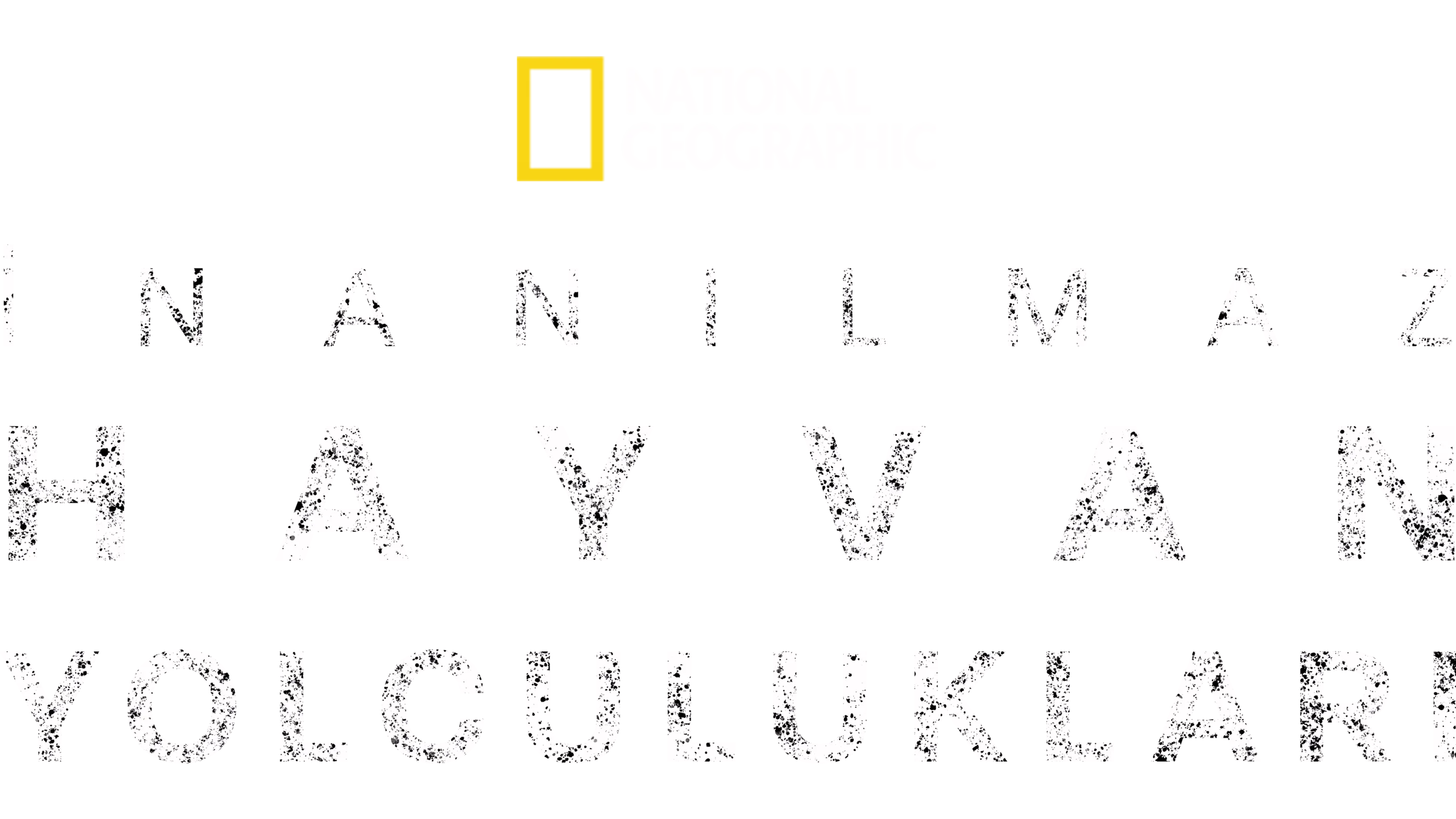 İnanılmaz Hayvan Yolculukları