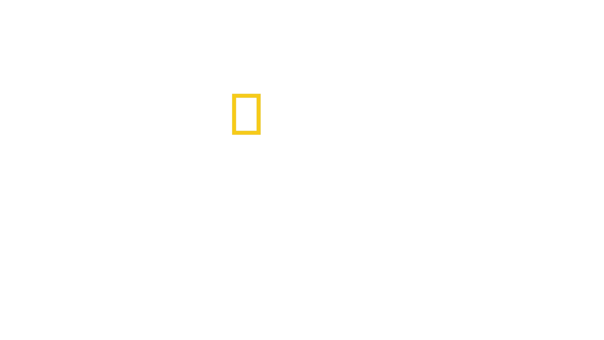 Terra contesa
