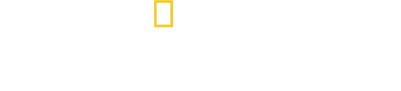 Terra contesa