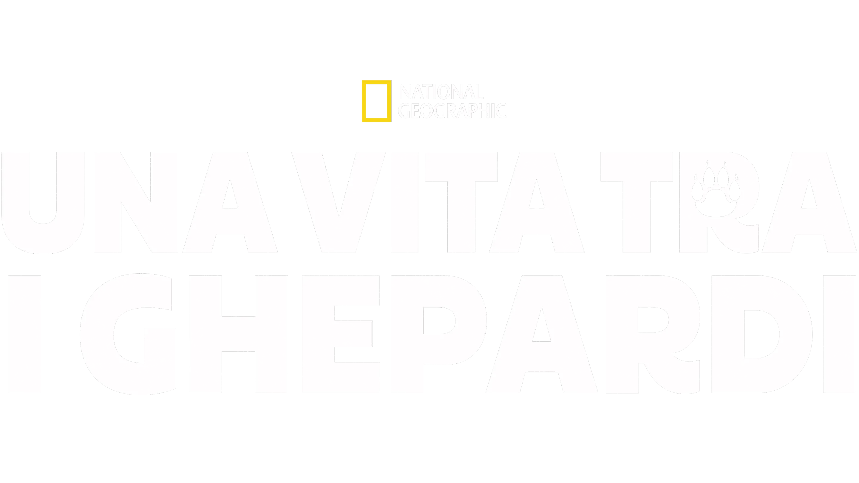 Una vita tra i ghepardi