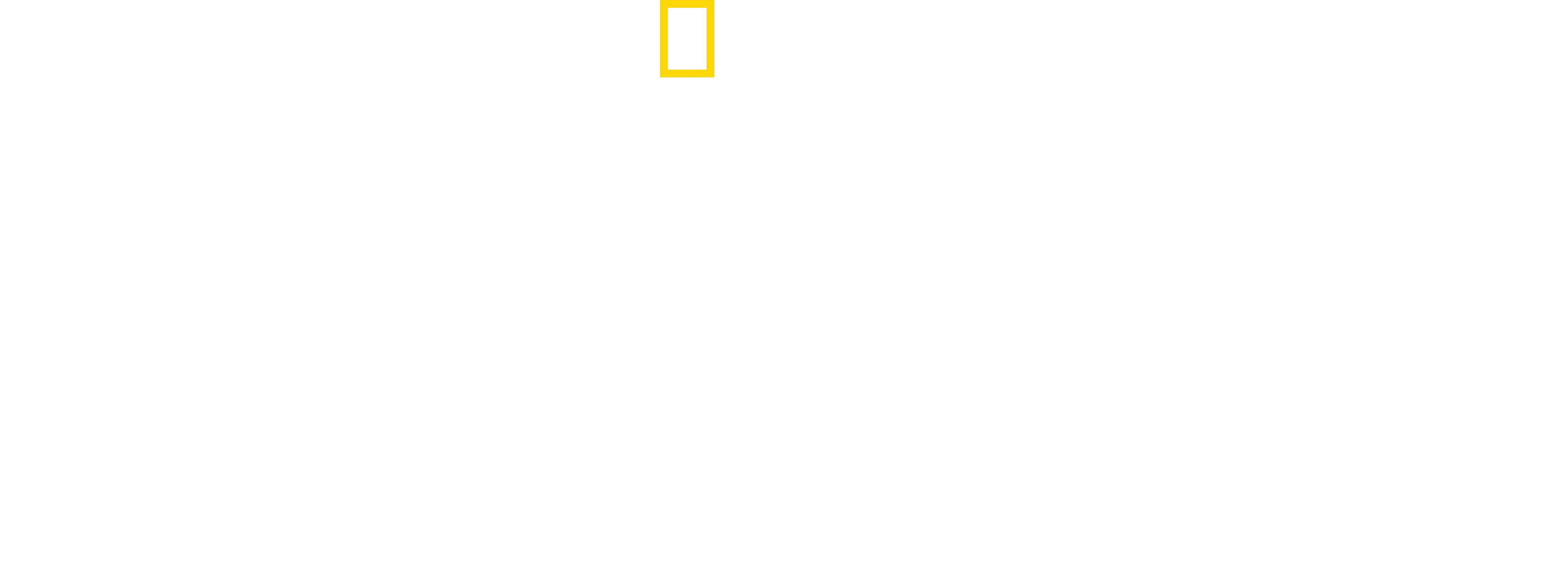 Una vita tra i ghepardi