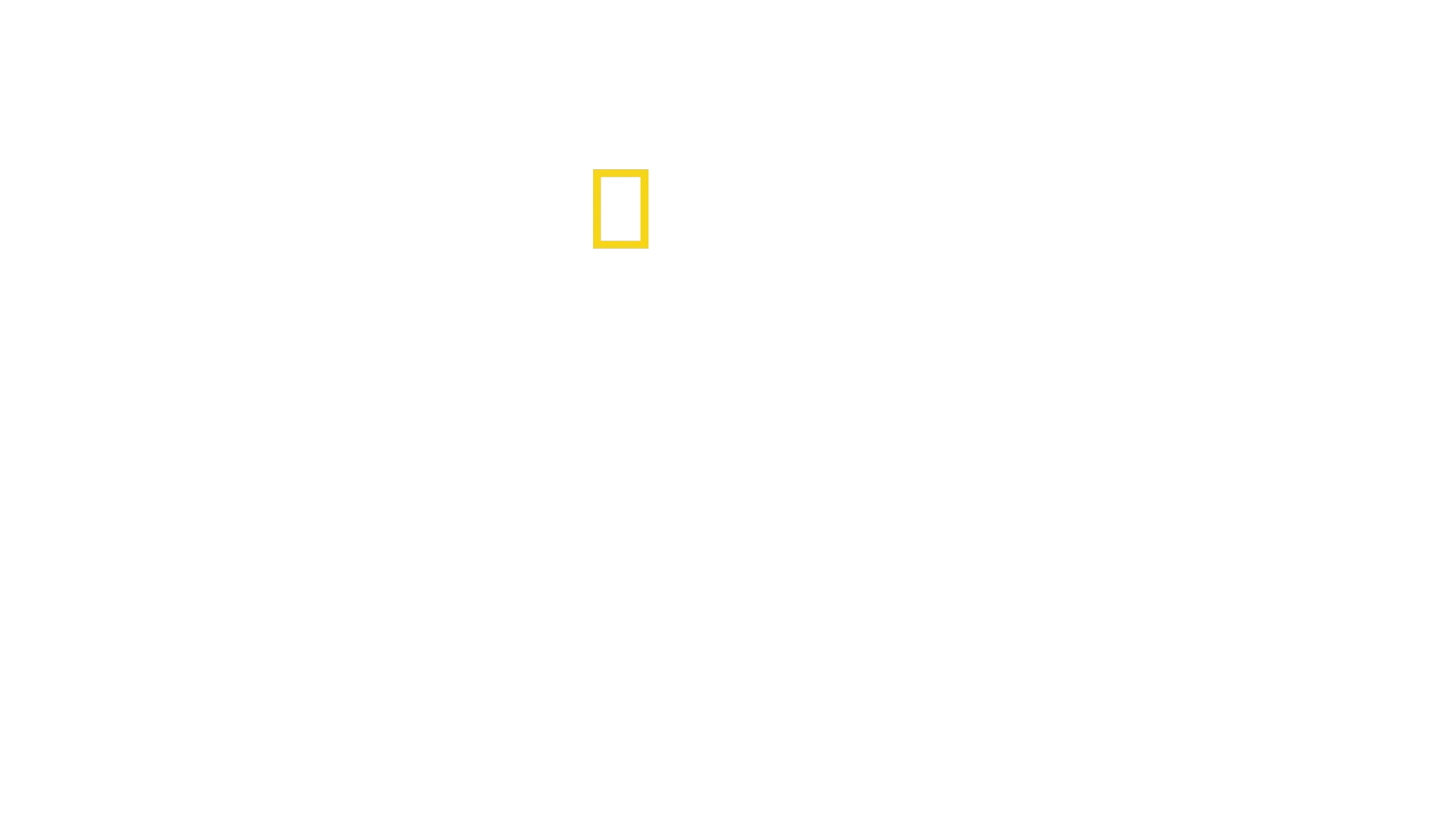 Animal Fight Club