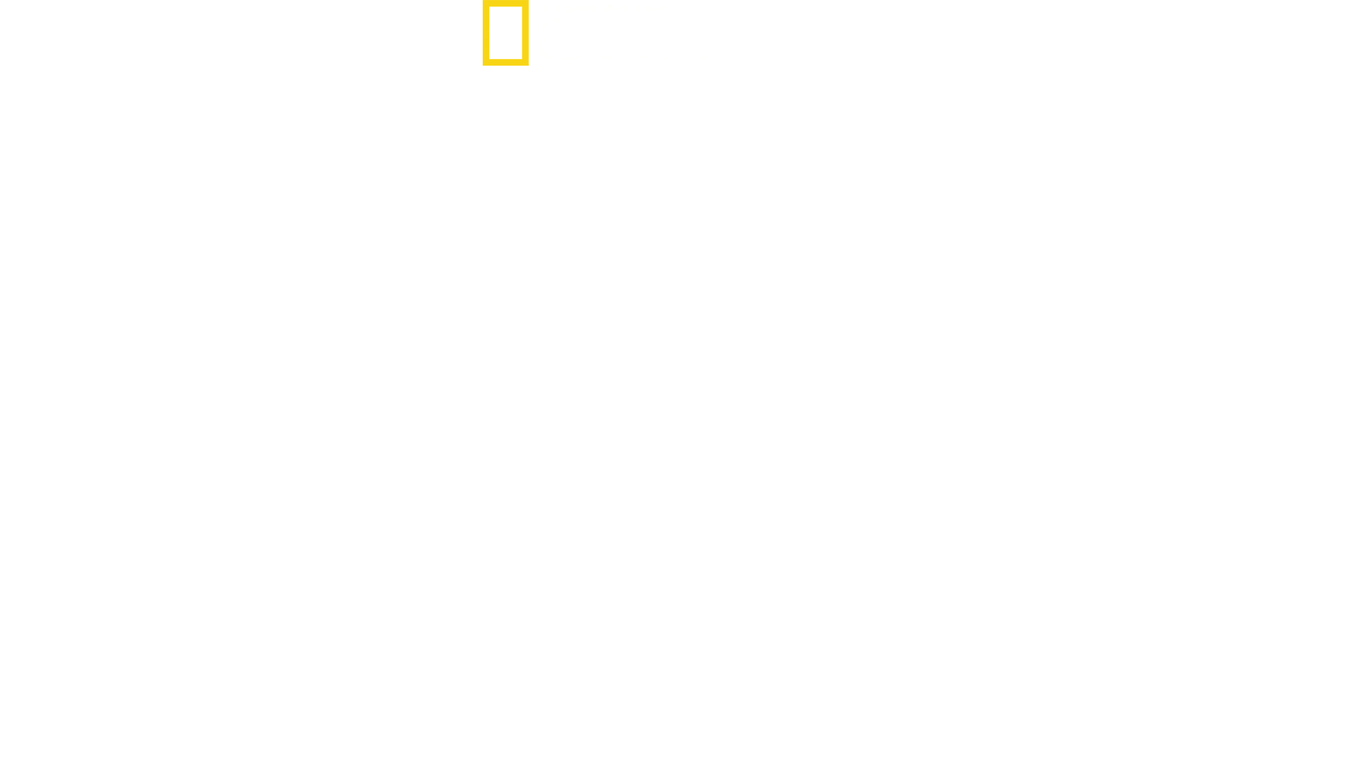Hitler: O Confronto Final