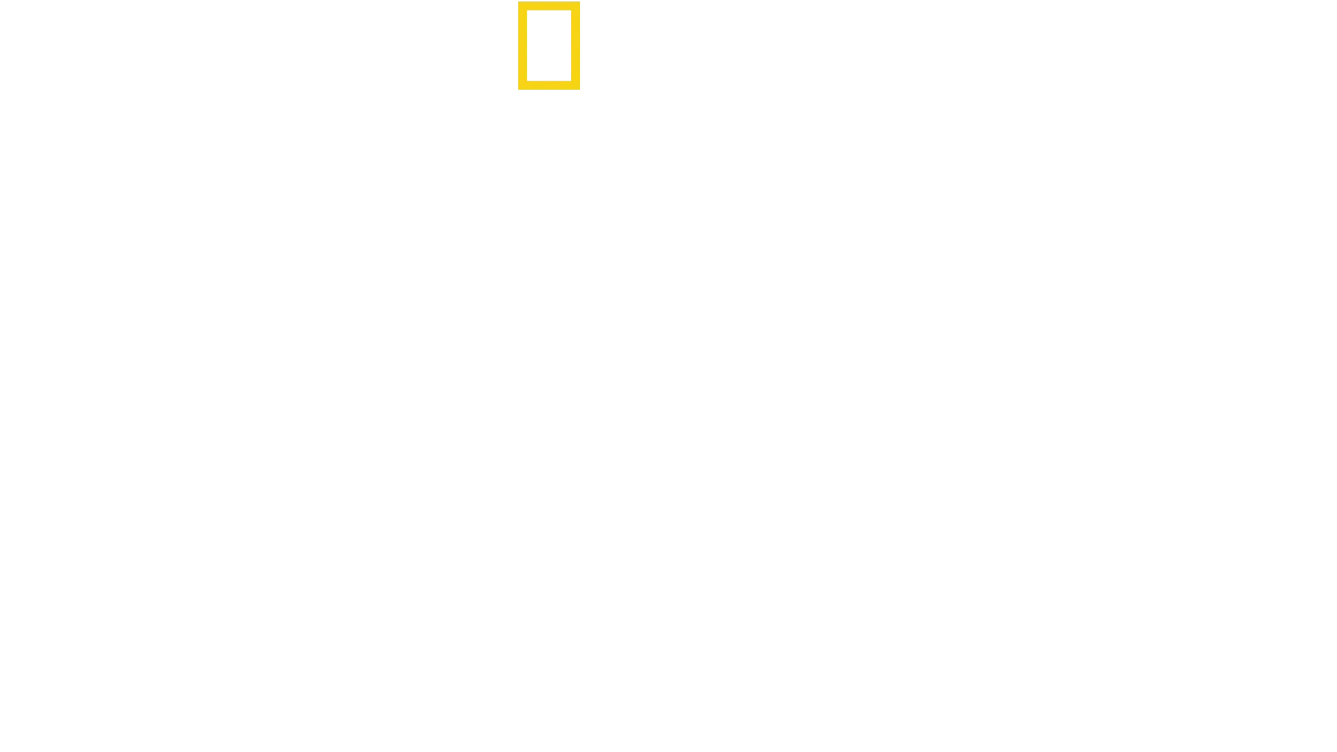 Kinas dolda massgrav