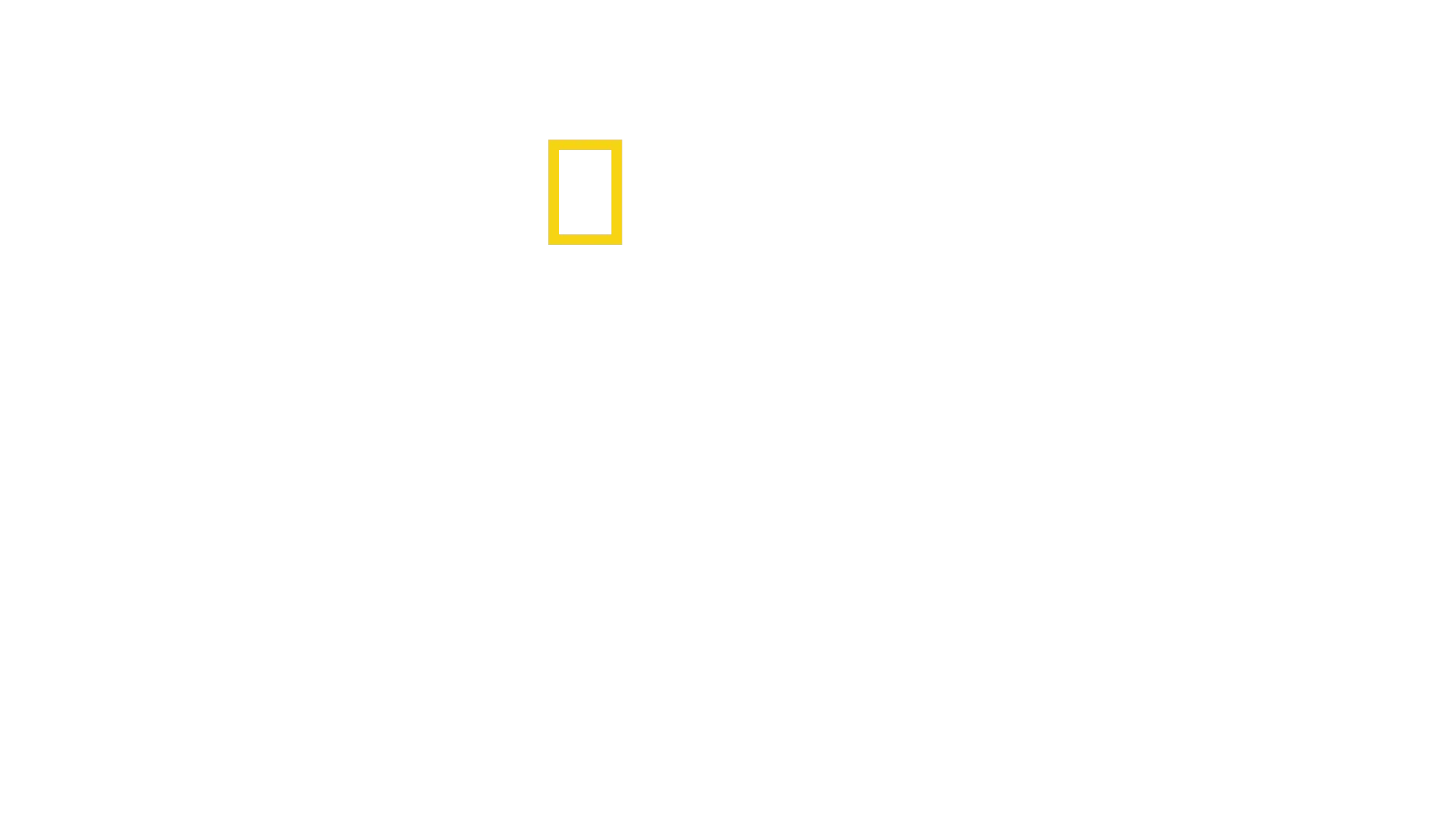 Τα Σαγόνια του Καρχαρία @ 50: Πίσω από τις Κάμερες