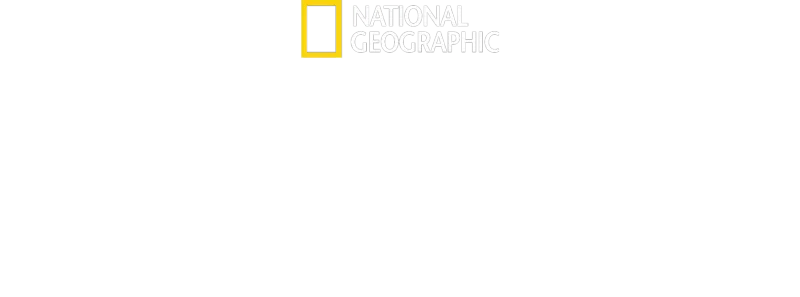 Τα Σαγόνια του Καρχαρία @ 50: Πίσω από τις Κάμερες