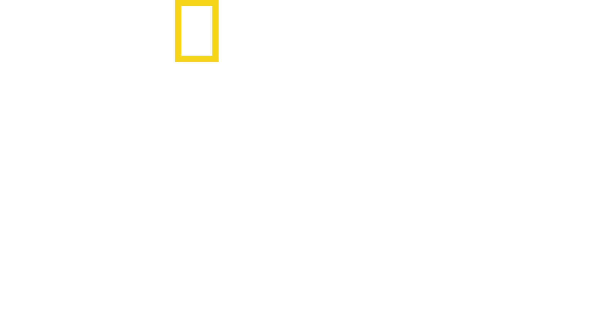 Contrabandistas con Mariana Van Zeller