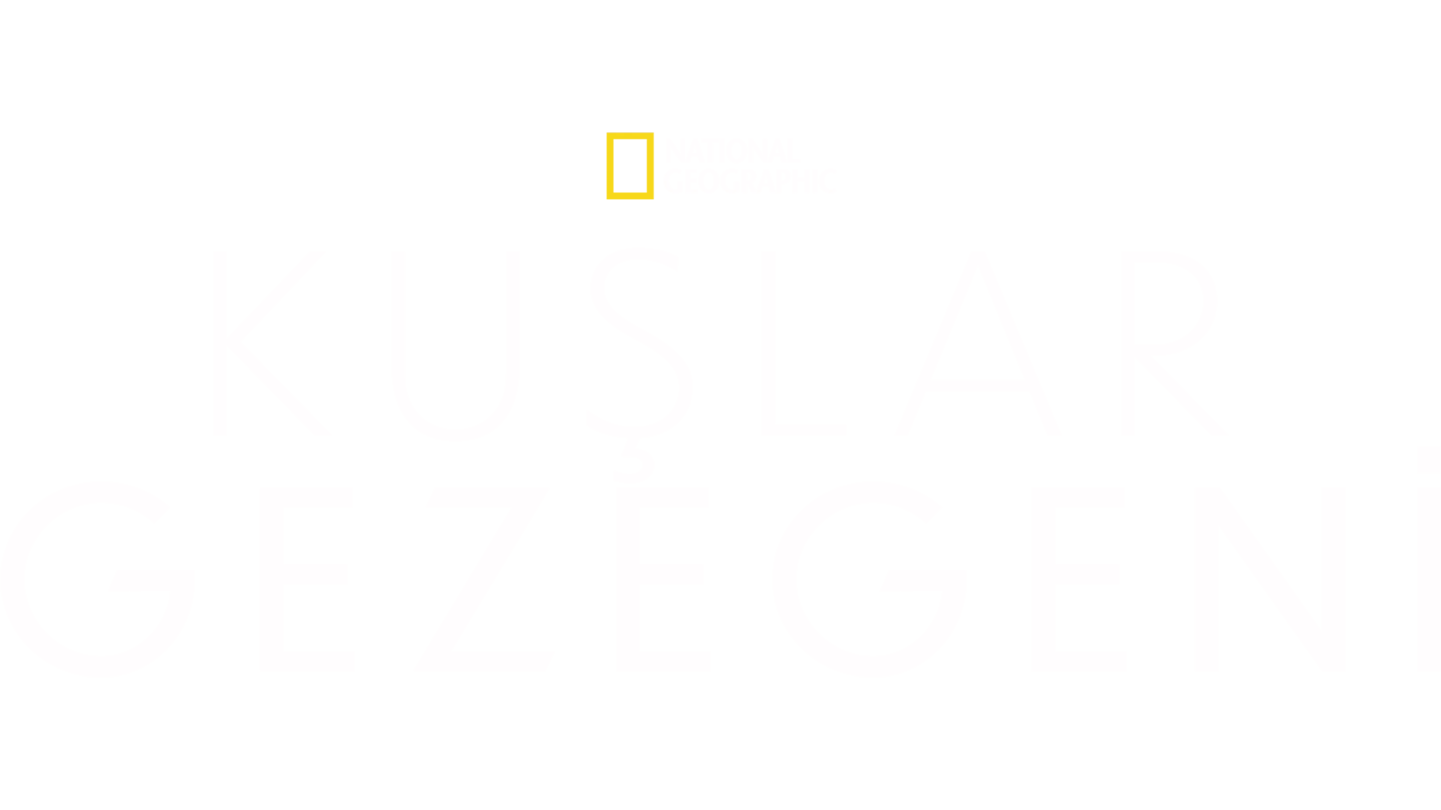 Kuşlar Gezegeni