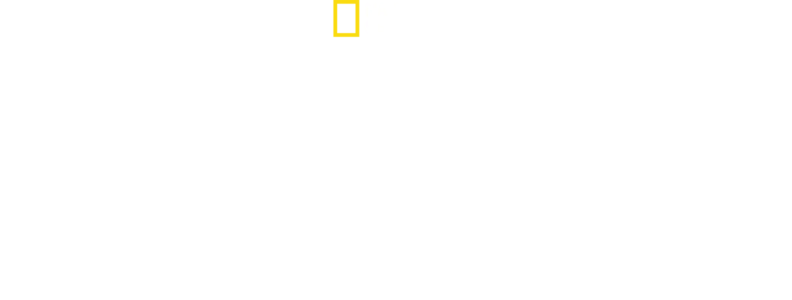 Kuşlar Gezegeni