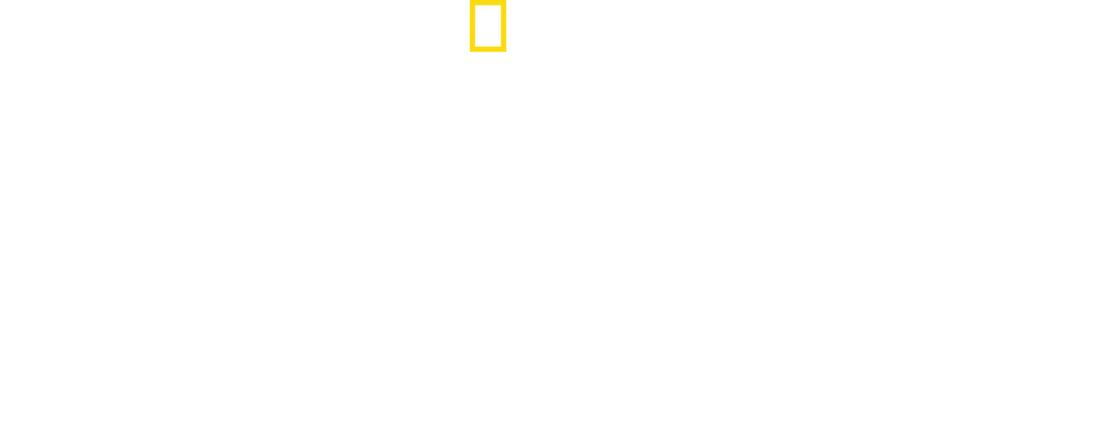Kuşlar Gezegeni
