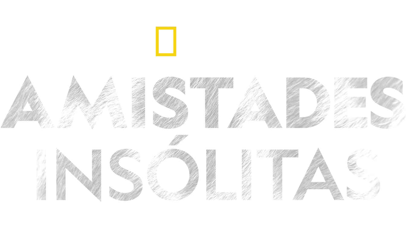 Amistades insólitas