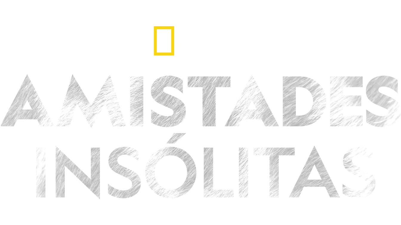 Amistades insólitas