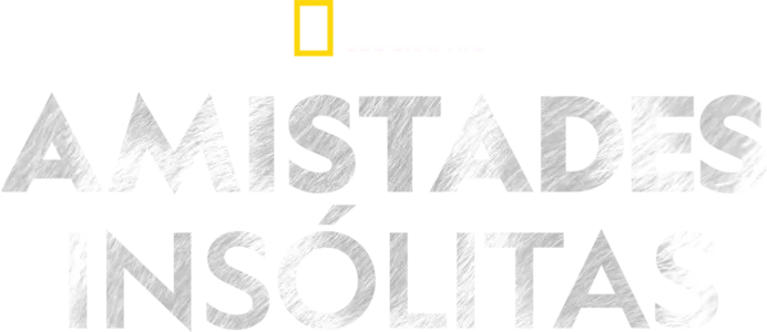 Amistades insólitas