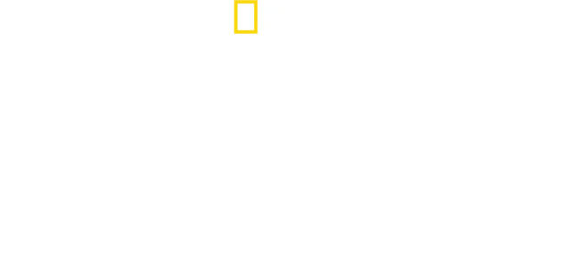 O Mundo dos Animais