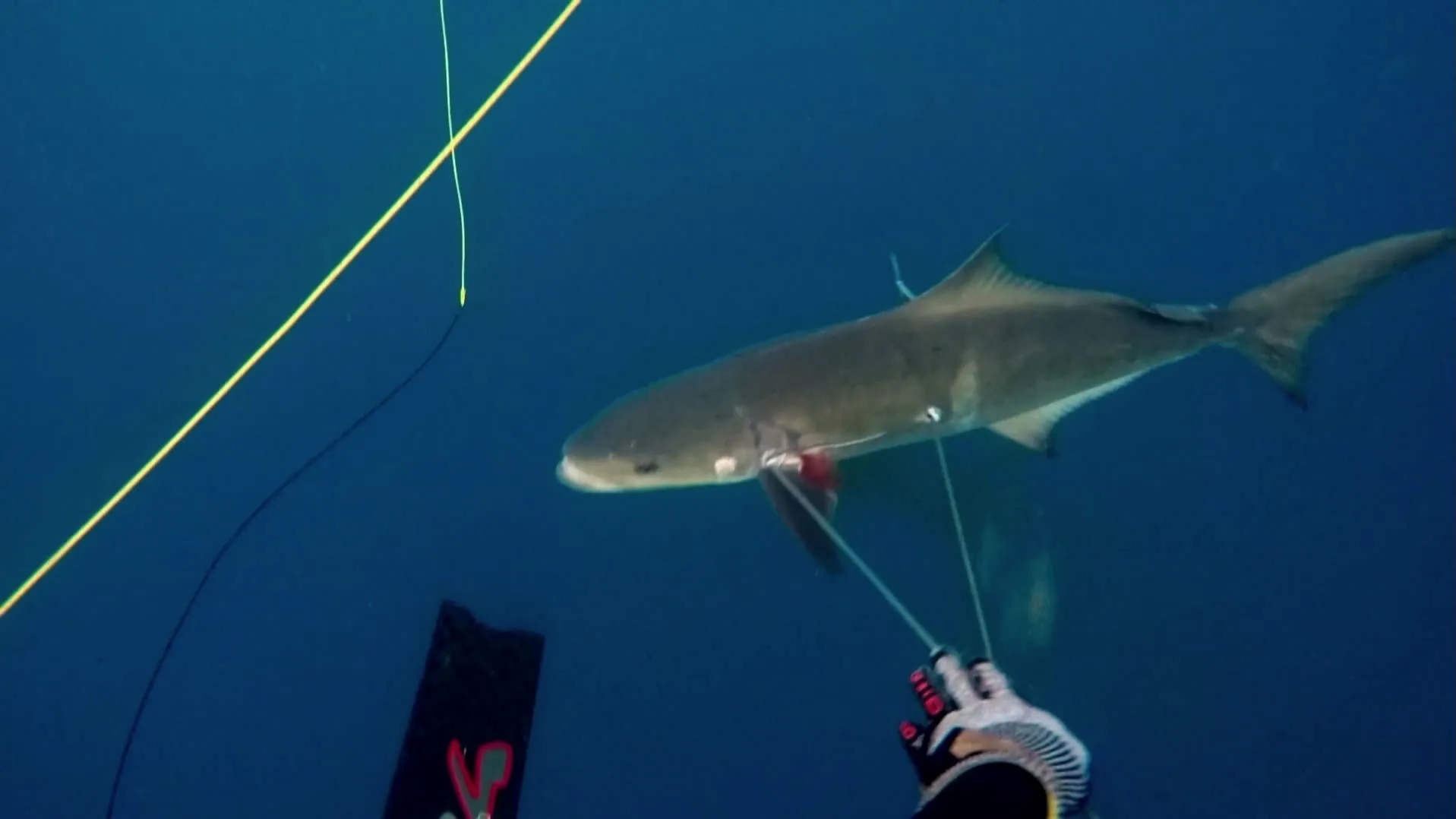 thumbnail - S1:E2 Disaster Strikes