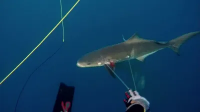 thumbnail - S1:E2 Disaster Strikes