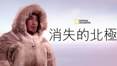 消失的北極