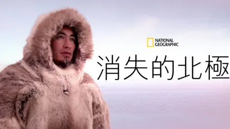 thumbnail - 消失的北極