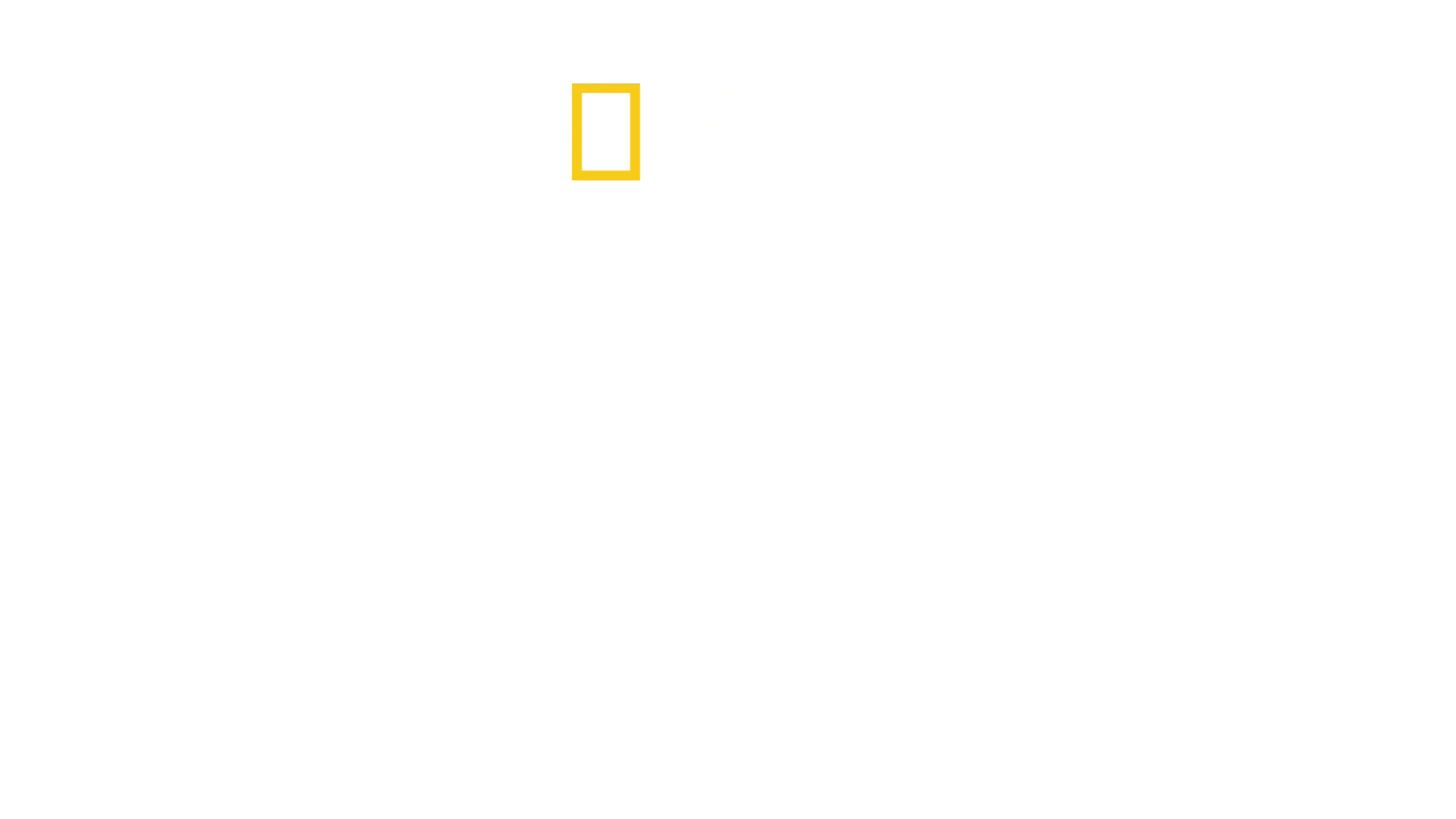 블링크