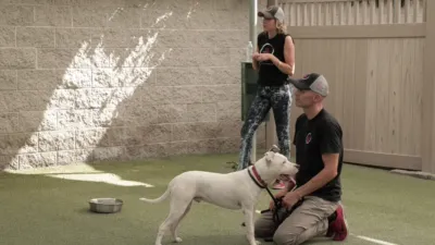 thumbnail - S2:E3 Ghost Of A Chance