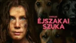 thumbnail - Éjszakai szuka