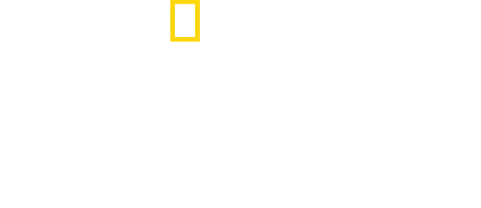 黑法老：水漫金字塔