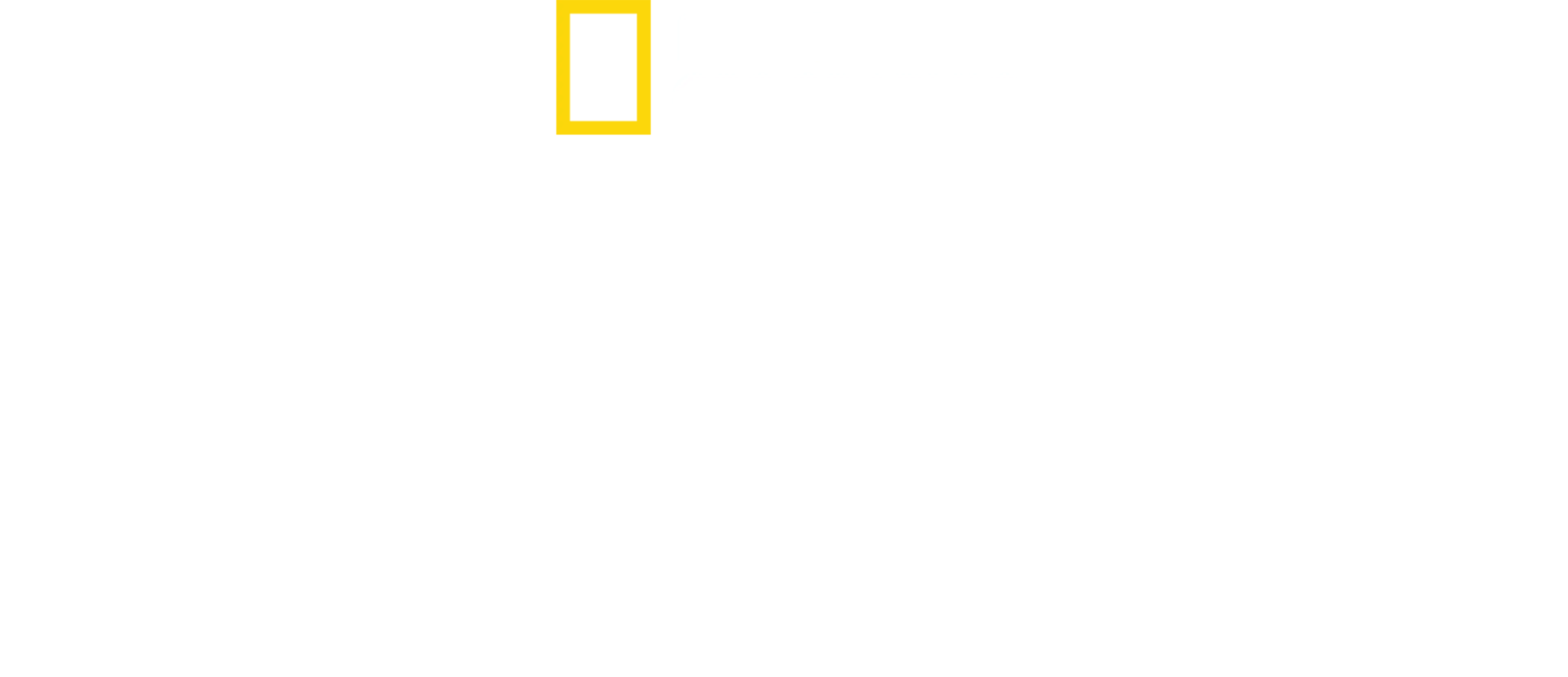 黑法老：水漫金字塔