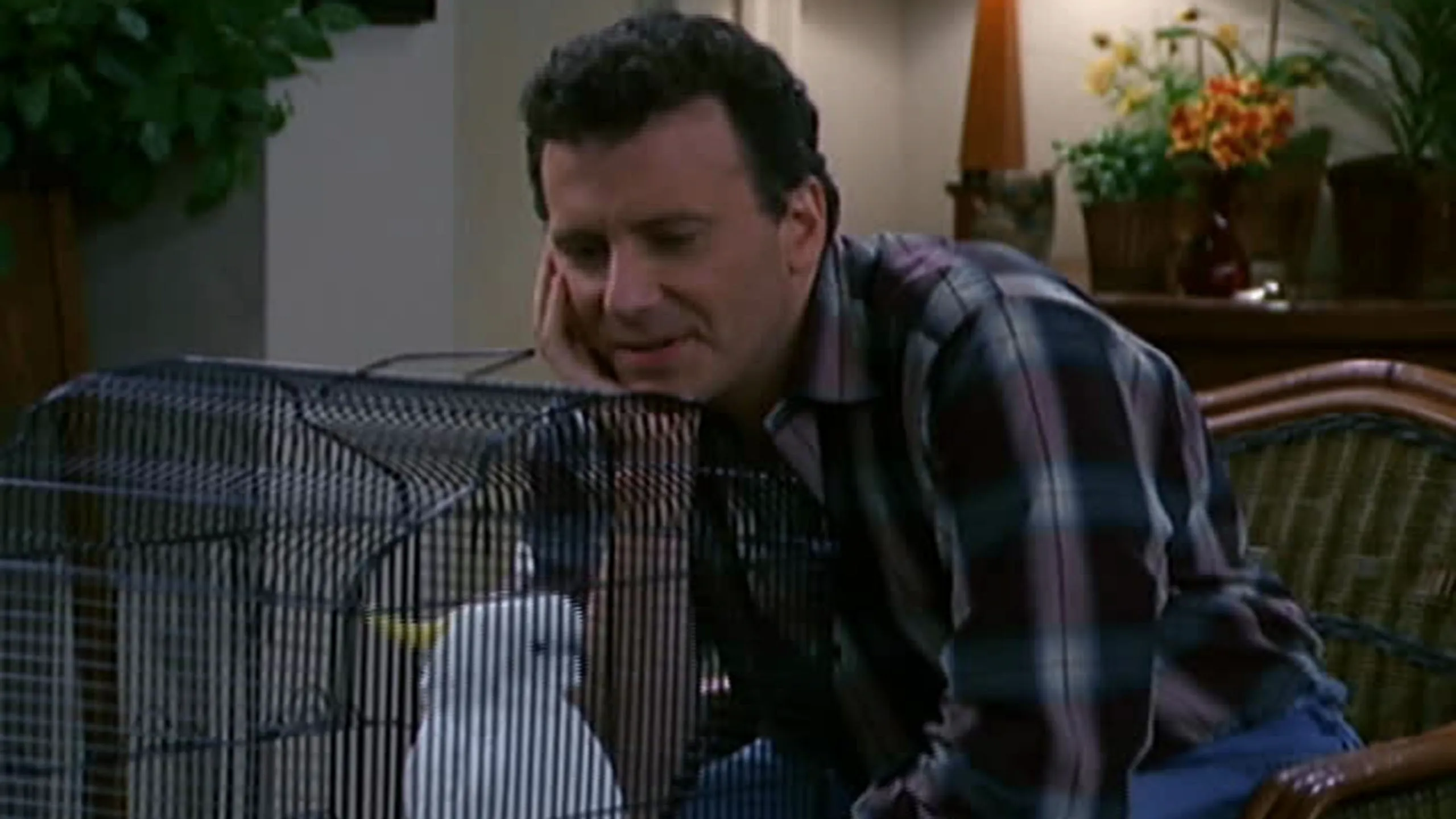 thumbnail - S5:E18 The Cockatoo