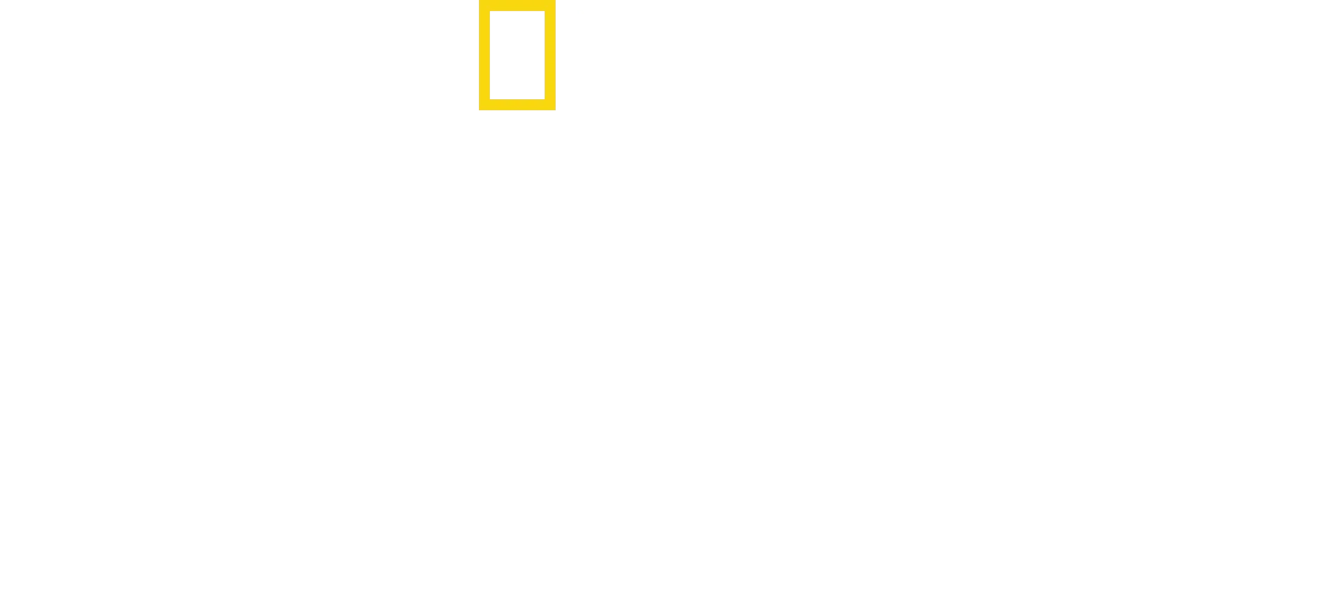 Csimpánzmenedék