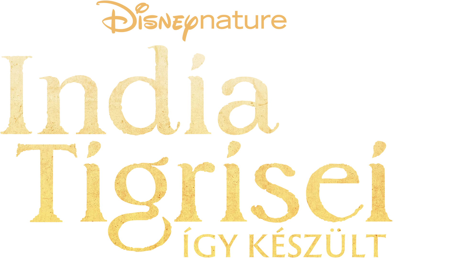 India tigrisei: Így készült