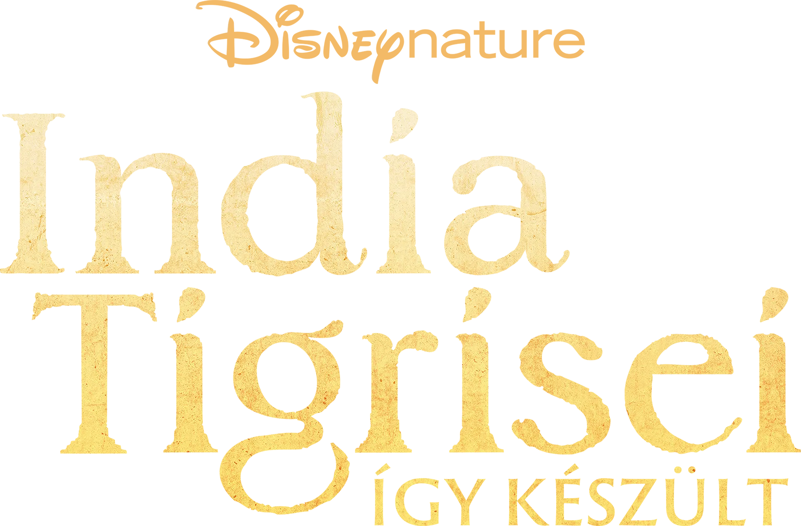 India tigrisei: Így készült