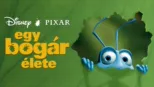 thumbnail - Egy bogár élete
