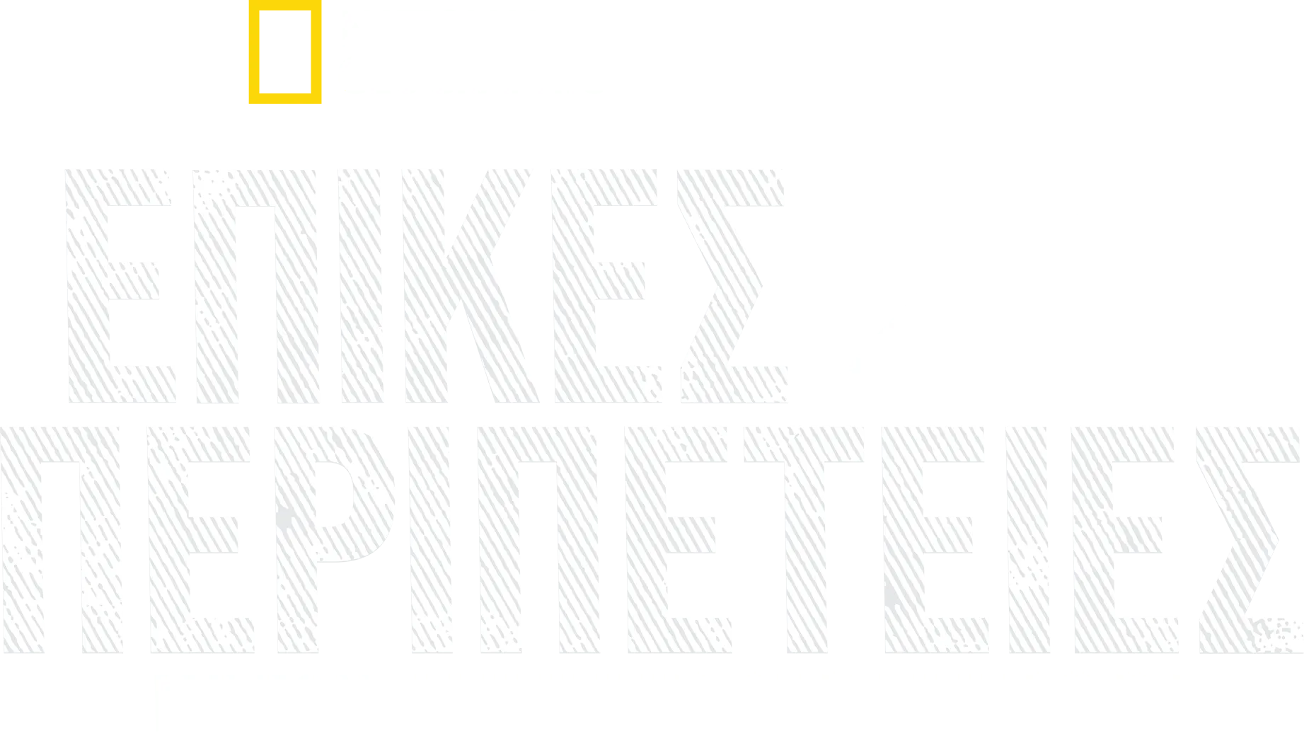Επικές Περιπέτειες με τον Μπέρτι Γκρέγκορι