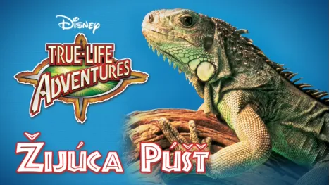 thumbnail - Žijúca púšť