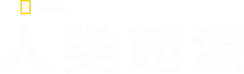 人类起源