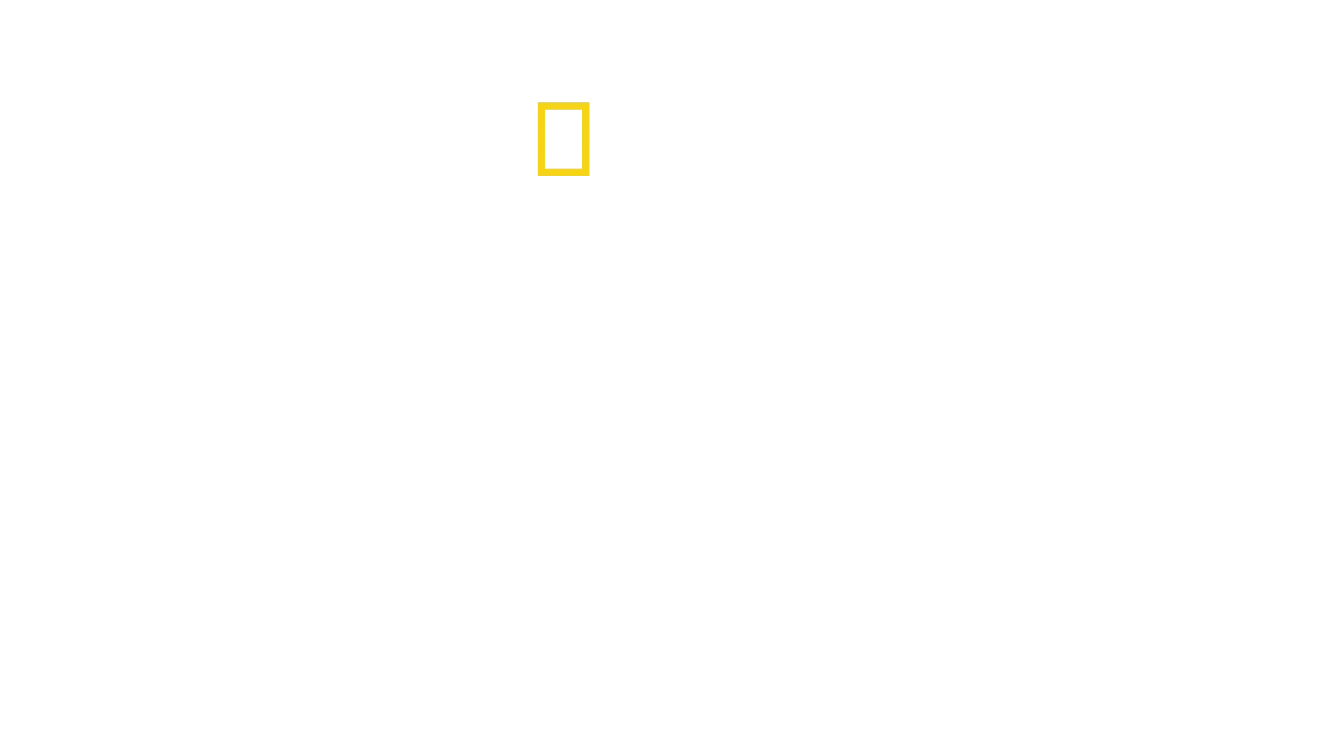 Seconda guerra: sopravvivenza estrema
